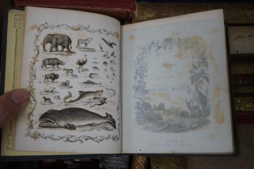 Buffon's Natural History ... pictorial engraved and printed titles, many illus.; original gilt pictorial and blind decorated cloth, 12mo. T.J. Allman, 1866; The Moss House; in which many of the works of nature are render